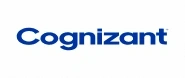 vognizant